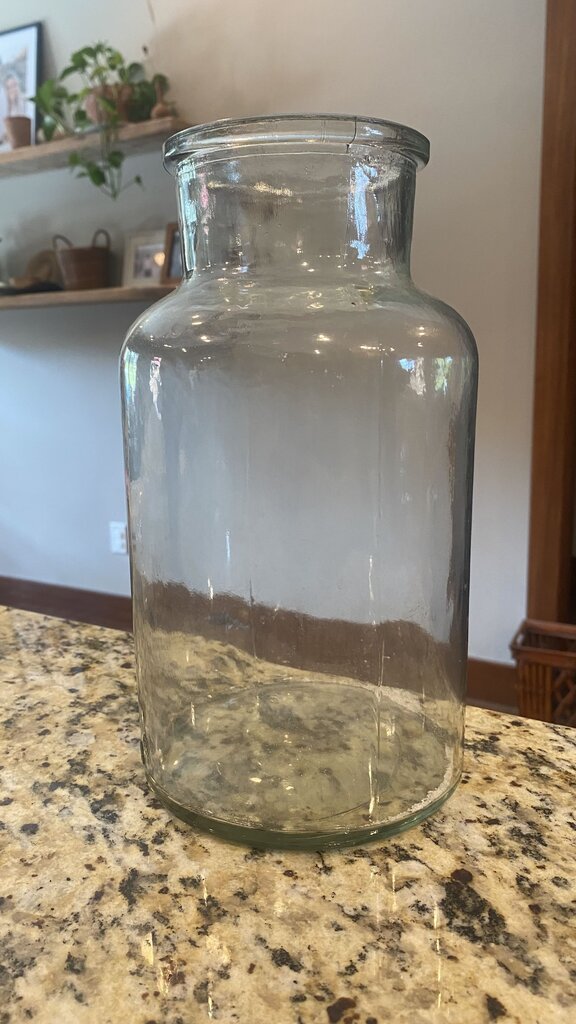 10" Clear Glass Jar Vase