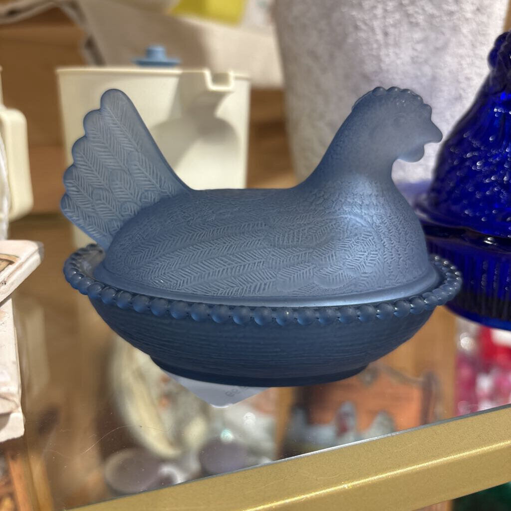 Blue medium hen on a nest