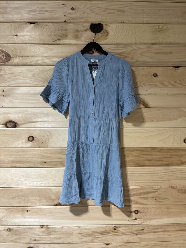 Blue Button-Down Ruffle Dress