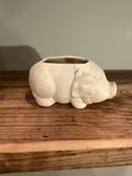 Terracotta Pig Planter