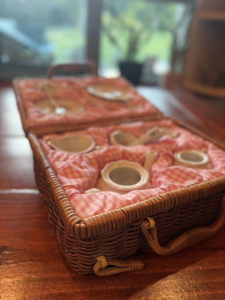 Vintage Delton Porcelain Tea Set for 2