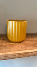Mustard Pot