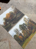 Set of 2 Autumn Canvas Art