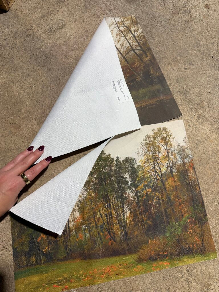 Set of 2 Autumn Canvas Art