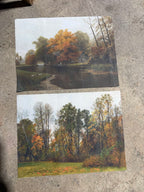 Set of 2 Autumn Canvas Art