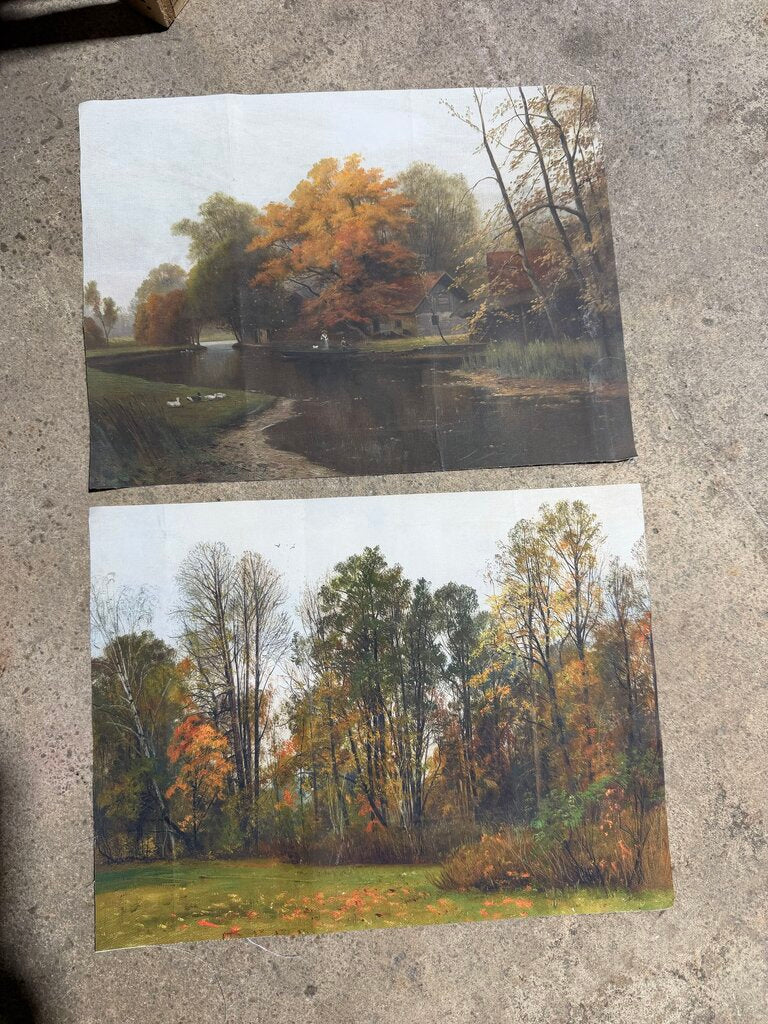 Set of 2 Autumn Canvas Art