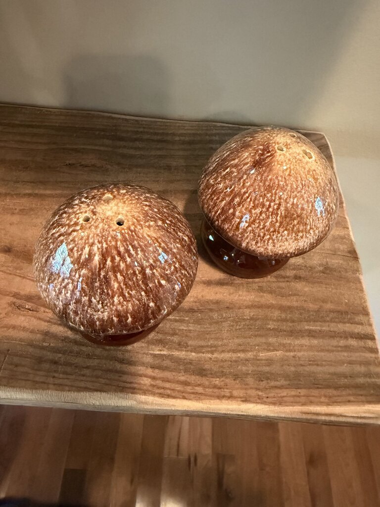 Ceramic Mushroom Salt Pepper Shaker Set
