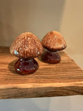 Ceramic Mushroom Salt Pepper Shaker Set