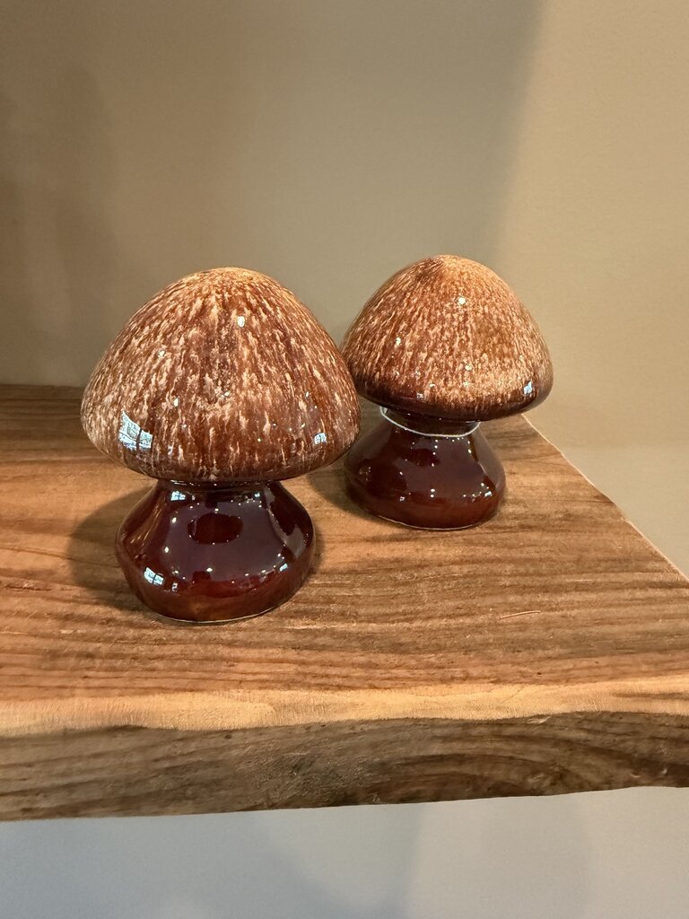 Ceramic Mushroom Salt Pepper Shaker Set
